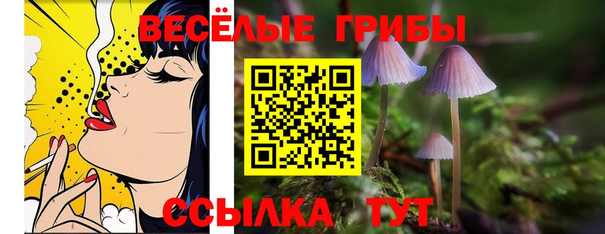 Псилоцибиновые грибы GOLDEN TEACHER  Вход с VPN  Псилоцибиновые грибы прущие грибы  Томск 