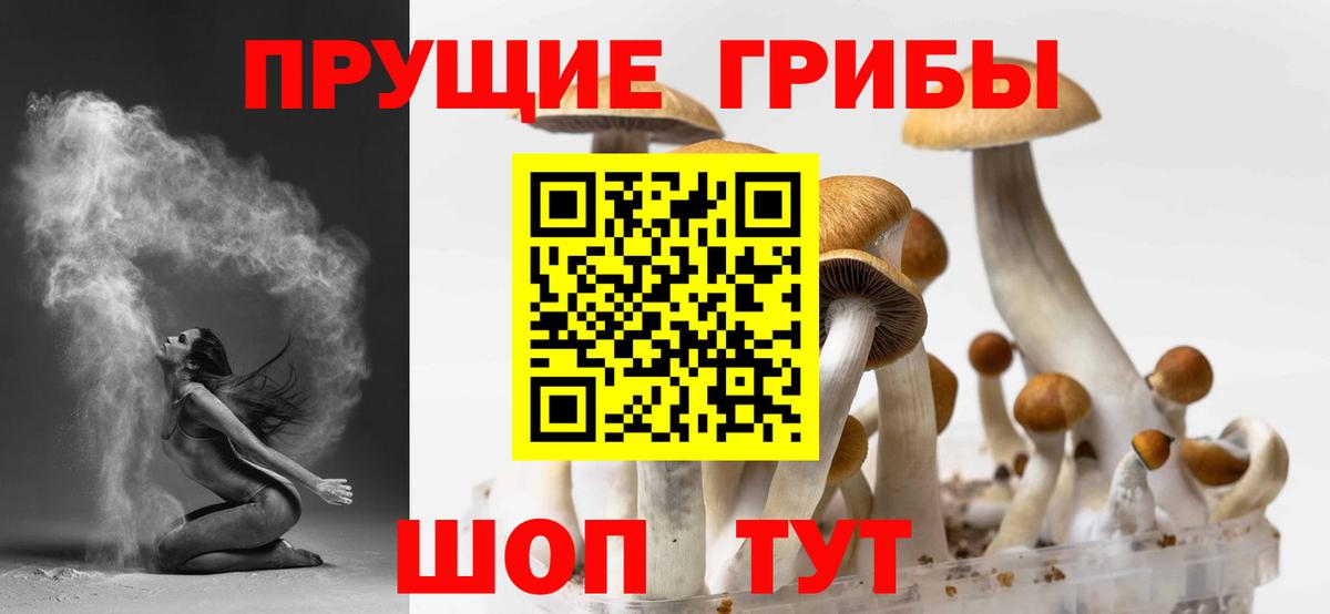 Галлюциногенные грибы GOLDEN TEACHER Томск